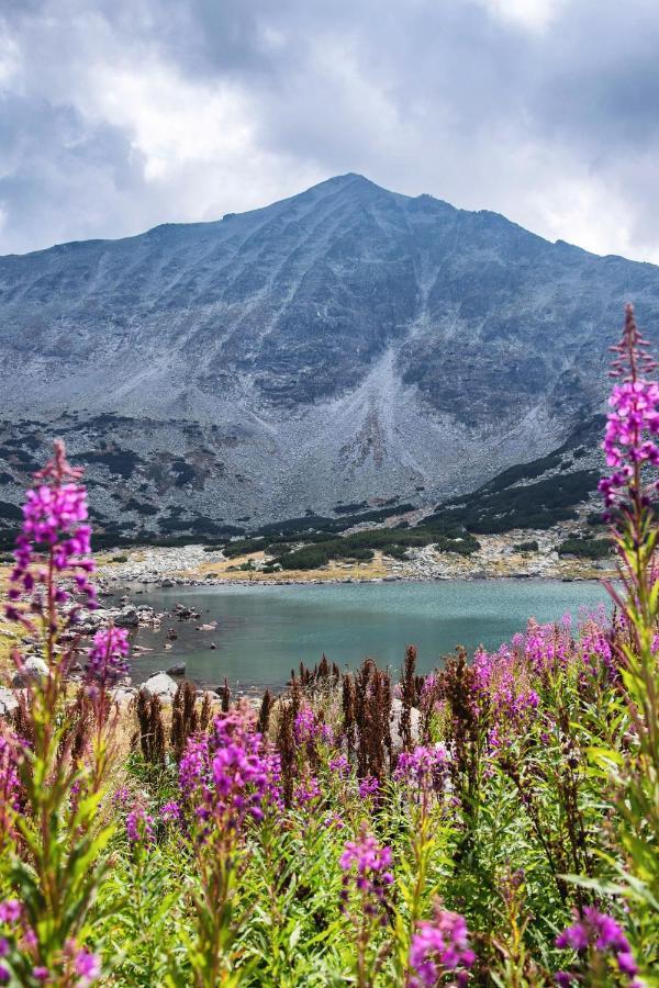 Borovets Gardens B30 Morunov Apart Buitenkant foto